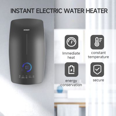 Calentador de agua eléctrico instantáneo para toda la casa