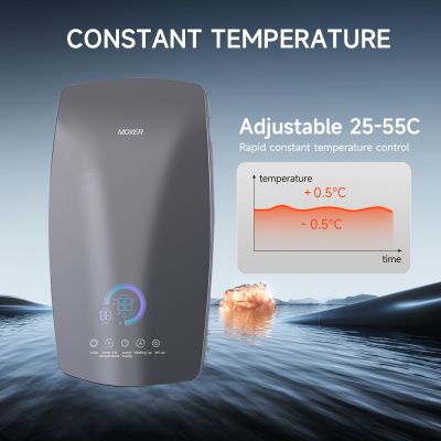 Calentador de agua eléctrico instantáneo para toda la casa