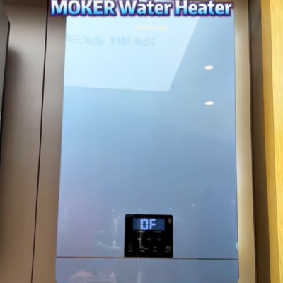 Calentador de agua instantáneo